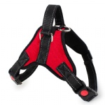 Dog Harness