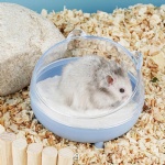 Hamster Litter Box