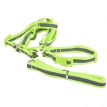 Pet Collar Leash Harness