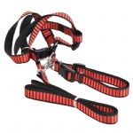 Pet Collar Leash Harness